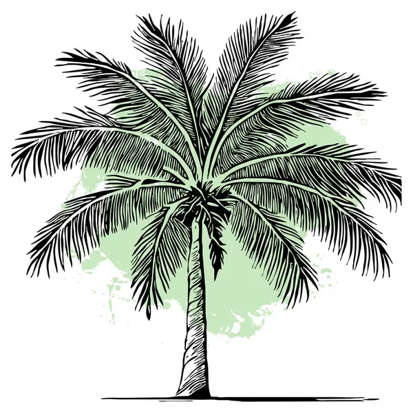 Illustration of a palm tree. Black tropical tree on a white background.