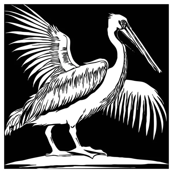 Pelican. Animals line art. Logo design for use in graphics. Print for T-shirts, design for tattoos.