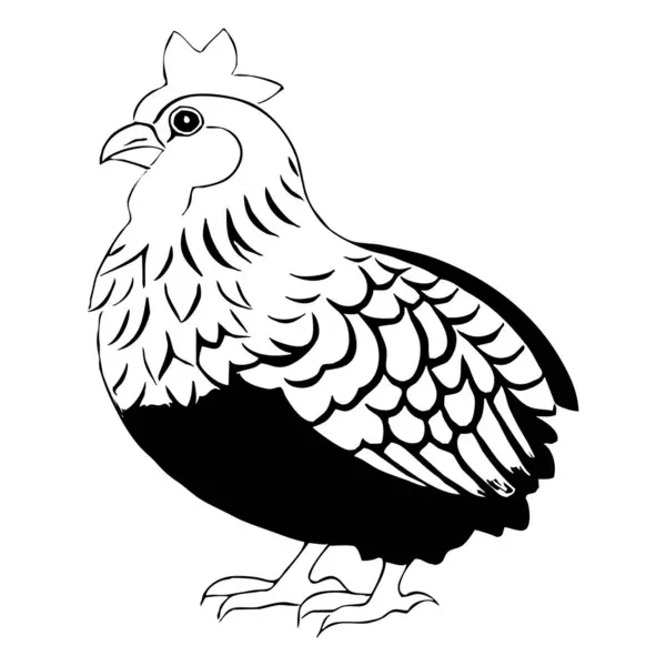 Hen . Black and white illustration. Logo design for use in graphics. T-shirt print, tattoo design.