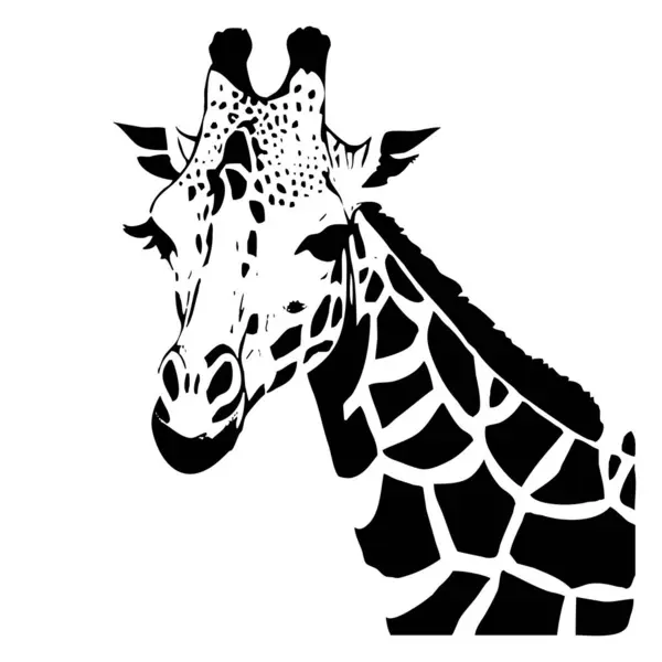 Giraffe . Black and white illustration. Logo design for use in graphics. T-shirt print, tattoo design.