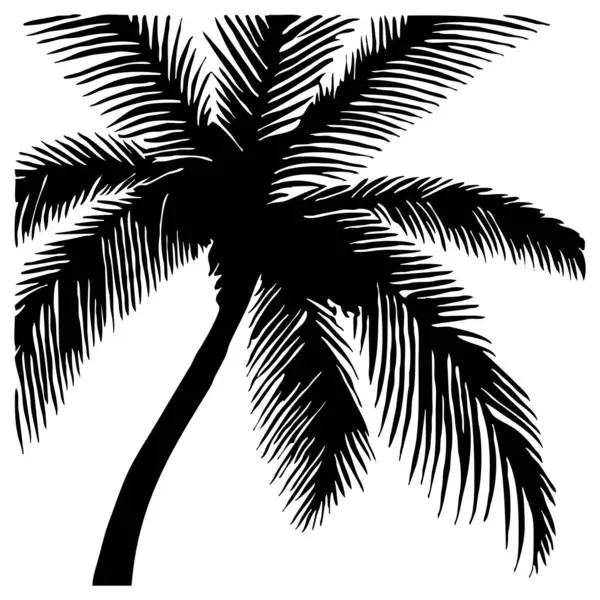Palmiye ağacı. Siyah beyaz çizim. Grafiklerde kullanmak için logo tasarımı. Tişört izi, dövme tasarımı.. 