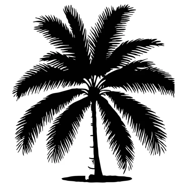 Palm tree. Black and white illustration. Logo design for use in graphics. T-shirt print, tattoo design.