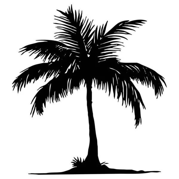 Palm tree. Black and white illustration. Logo design for use in graphics. T-shirt print, tattoo design.
