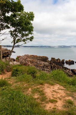 Güneşli bir günde güzel deniz manzarası. Brixham Devon UK.