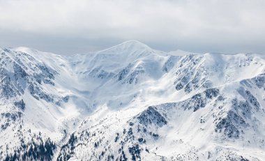 Güzel kış manzarası Polonya dağlarında