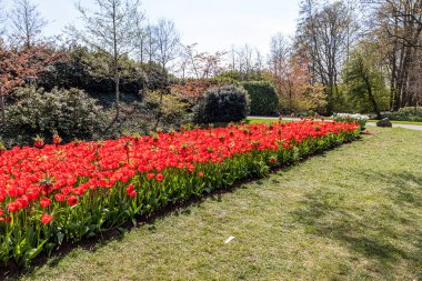 14 Nisan 2022 Lisse Hollanda. Lisse 'deki Keukenhof bahar bahçesi Hollanda' nın en güzel yerlerinden biridir..