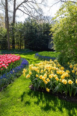 14 Nisan 2022 Lisse Hollanda. Lisse 'deki Keukenhof bahar bahçesi Hollanda' nın en güzel yerlerinden biridir..