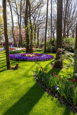 14 Nisan 2022 Lisse Hollanda. Lisse 'deki Keukenhof bahar bahçesi Hollanda' nın en güzel yerlerinden biridir..