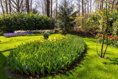 14 Nisan 2022 Lisse Hollanda. Lisse 'deki Keukenhof bahar bahçesi Hollanda' nın en güzel yerlerinden biridir..