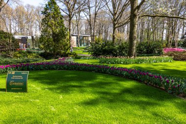 14 Nisan 2022 Lisse Hollanda. Lisse 'deki Keukenhof bahar bahçesi Hollanda' nın en güzel yerlerinden biridir..