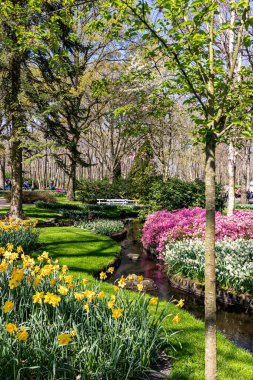 14 Nisan 2022 Lisse Hollanda. Lisse 'deki Keukenhof bahar bahçesi Hollanda' nın en güzel yerlerinden biridir..