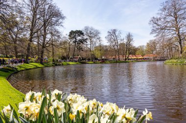 14 Nisan 2022 Lisse Hollanda. Lisse 'deki Keukenhof bahar bahçesi Hollanda' nın en güzel yerlerinden biridir..