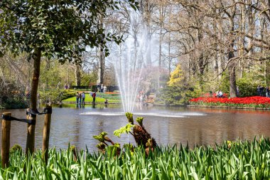 14 Nisan 2022 Lisse Hollanda. Lisse 'deki Keukenhof bahar bahçesi Hollanda' nın en güzel yerlerinden biridir..