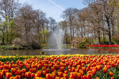 14 Nisan 2022 Lisse Hollanda. Lisse 'deki Keukenhof bahar bahçesi Hollanda' nın en güzel yerlerinden biridir..