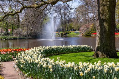 14 Nisan 2022 Lisse Hollanda. Lisse 'deki Keukenhof bahar bahçesi Hollanda' nın en güzel yerlerinden biridir..