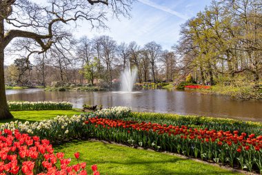 14 Nisan 2022 Lisse Hollanda. Lisse 'deki Keukenhof bahar bahçesi Hollanda' nın en güzel yerlerinden biridir..