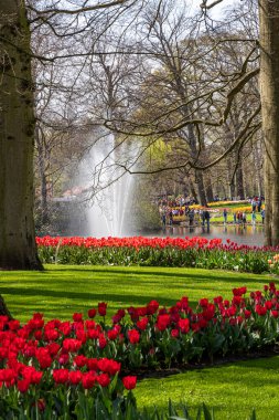 14 Nisan 2022 Lisse Hollanda. Lisse 'deki Keukenhof bahar bahçesi Hollanda' nın en güzel yerlerinden biridir..