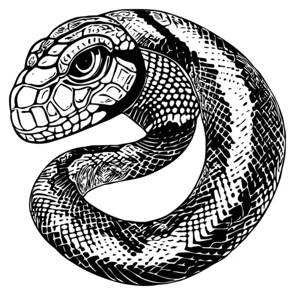 Snake Black White Illustration Pattern Tattoos Use Graphics — Stock Photo, Image
