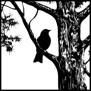 Kuş. Hayvan siyah ve beyaz çizimi. Grafiklerde kullanılmak üzere logo tasarımı. 