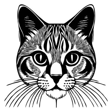 Kedi. Hayvan siyah ve beyaz çizimi. Grafiklerde kullanılmak üzere logo tasarımı. 