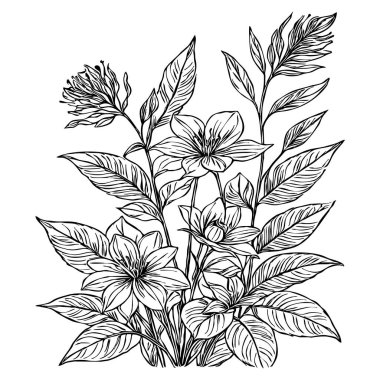 Siyah beyaz botanik deseni. Grafiklerde ve malzemelerde kullanmak için. Soyut bitki şekilleri. Duvar dekorasyonlarına yazdırmak için minimalist illüstrasyon.