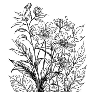 Siyah beyaz botanik deseni. Grafiklerde ve malzemelerde kullanmak için. Soyut bitki şekilleri. Duvar dekorasyonlarına yazdırmak için minimalist illüstrasyon.