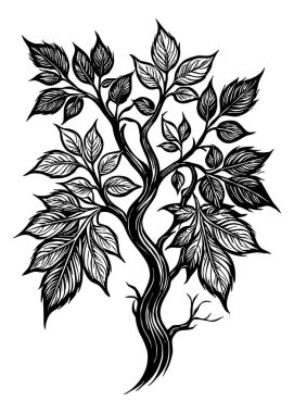 Ağaç. Siyah beyaz botanik deseni. Grafiklerde ve malzemelerde kullanmak için. Soyut bitki şekilleri. Duvar dekorasyonlarına yazdırmak için minimalist illüstrasyon.