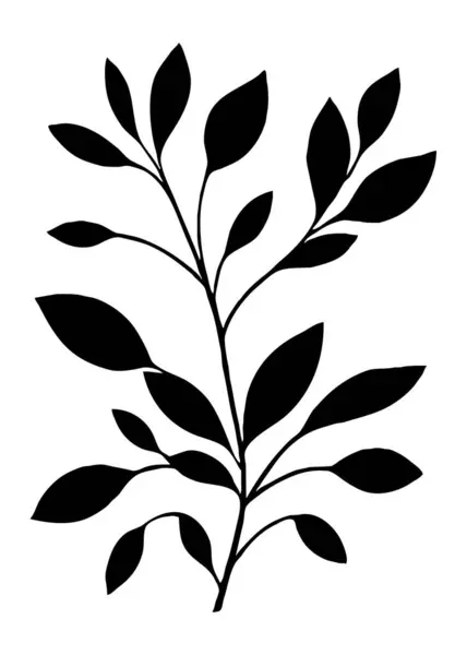 Botanical Black White Pattern Abstract Plant Shapes Minimalist Illustration Printing — Stock Photo, Image