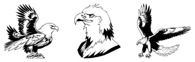 Kartal. Siyah beyaz grafikler. Grafiklerde kullanmak için logo tasarımı. Tişört izi, dövme tasarımı.. 