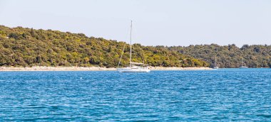 Adriyatik Denizi 'nin güzel manzarası. Nisan güneşli bir gün. Istria Yarımadası Hırvatistan