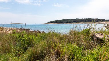 Adriyatik Denizi 'nin güzel manzarası. Nisan güneşli bir gün. Istria Yarımadası Hırvatistan