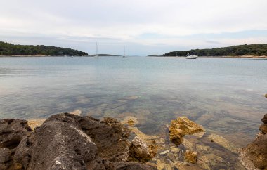 Adriyatik Denizi 'nin güzel manzarası. Nisan güneşli bir gün. Istria Yarımadası Hırvatistan