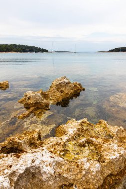Adriyatik Denizi 'nin güzel manzarası. Nisan güneşli bir gün. Istria Yarımadası Hırvatistan