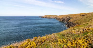 Padstow Cornwall, İngiltere. Güneşli bir nisan gününde manzara. Dağların ve okyanusun güzel manzarası.