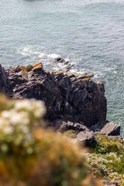 Padstow Cornwall, İngiltere. Güneşli bir nisan gününde manzara. Dağların ve okyanusun güzel manzarası.