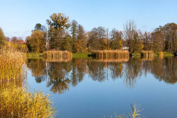 Stock image Landscape in the countryside by the lake on a sunny October day. A quiet place to relax by the water.