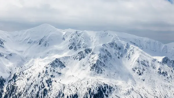 Polonya Tatra Dağları 'ndaki kış manzarası. Karla kaplı tepelerin manzarası.