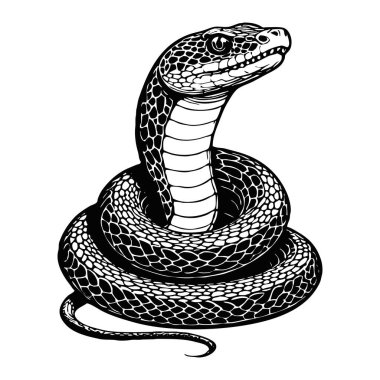 Yılan. Siyah beyaz çizim. Dövmeler için kalıp, grafiklerde kullanım için.