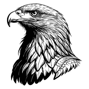 Kartal. Siyah beyaz grafikler. Grafiklerde kullanmak için logo tasarımı. Tişört izi, dövme tasarımı.. 