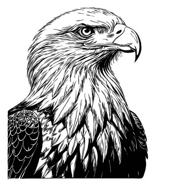 Kartal. Siyah beyaz grafikler. Grafiklerde kullanmak için logo tasarımı. Tişört izi, dövme tasarımı.. 