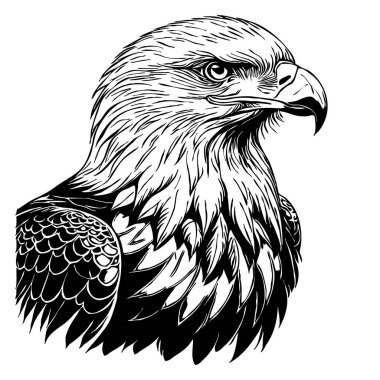 Kartal. Siyah beyaz grafikler. Grafiklerde kullanmak için logo tasarımı. Tişört izi, dövme tasarımı.. 