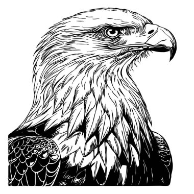 Kartal. Siyah beyaz grafikler. Grafiklerde kullanmak için logo tasarımı. Tişört izi, dövme tasarımı.. 