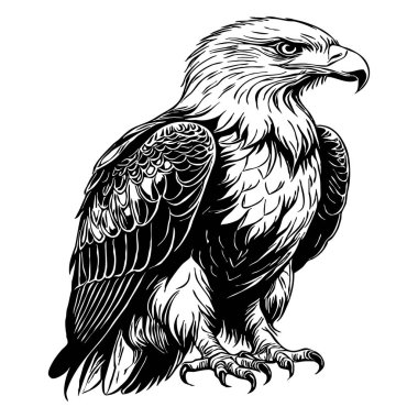 Kartal. Siyah beyaz grafikler. Grafiklerde kullanmak için logo tasarımı. Tişört izi, dövme tasarımı.. 