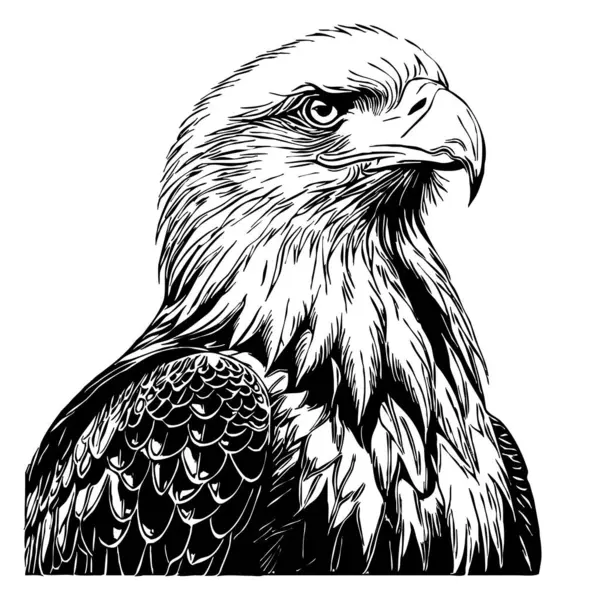 Kartal. Siyah beyaz grafikler. Grafiklerde kullanmak için logo tasarımı. Tişört izi, dövme tasarımı.. 