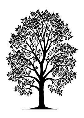 Ağaç. Siyah beyaz botanik deseni. Grafiklerde ve malzemelerde kullanmak için. Soyut bitki şekilleri. Duvar dekorasyonlarına yazdırmak için minimalist illüstrasyon.