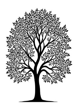 Ağaç. Siyah beyaz botanik deseni. Grafiklerde ve malzemelerde kullanmak için. Soyut bitki şekilleri. Duvar dekorasyonlarına yazdırmak için minimalist illüstrasyon.