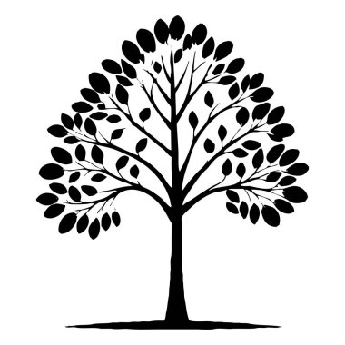 Ağaç. Siyah beyaz botanik deseni. Grafiklerde ve malzemelerde kullanmak için. Soyut bitki şekilleri. Duvar dekorasyonlarına yazdırmak için minimalist illüstrasyon.