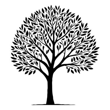 Ağaç. Siyah beyaz botanik deseni. Grafiklerde ve malzemelerde kullanmak için. Soyut bitki şekilleri. Duvar dekorasyonlarına yazdırmak için minimalist illüstrasyon.
