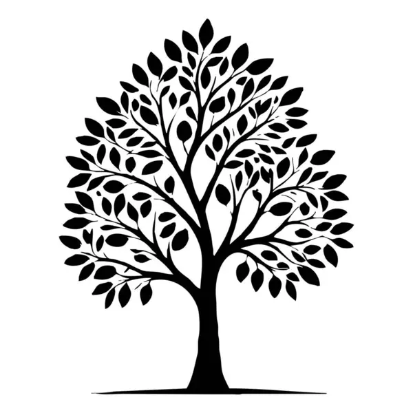 Ağaç. Siyah beyaz botanik deseni. Grafiklerde ve malzemelerde kullanmak için. Soyut bitki şekilleri. Duvar dekorasyonlarına yazdırmak için minimalist illüstrasyon.