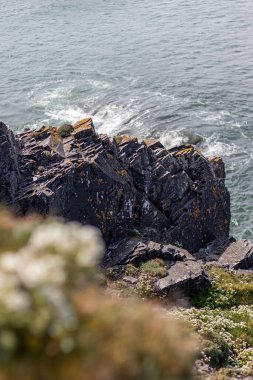 Güneşli bir nisan gününde manzara. Dağların ve okyanusun güzel manzarası. Padstow Cornwall, İngiltere.